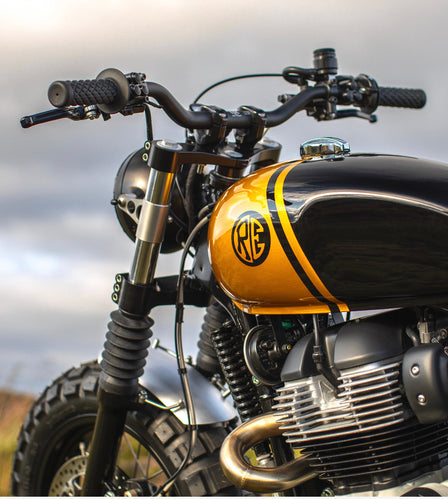 Gold & Black Brat