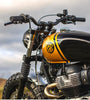 Gold & Black Brat