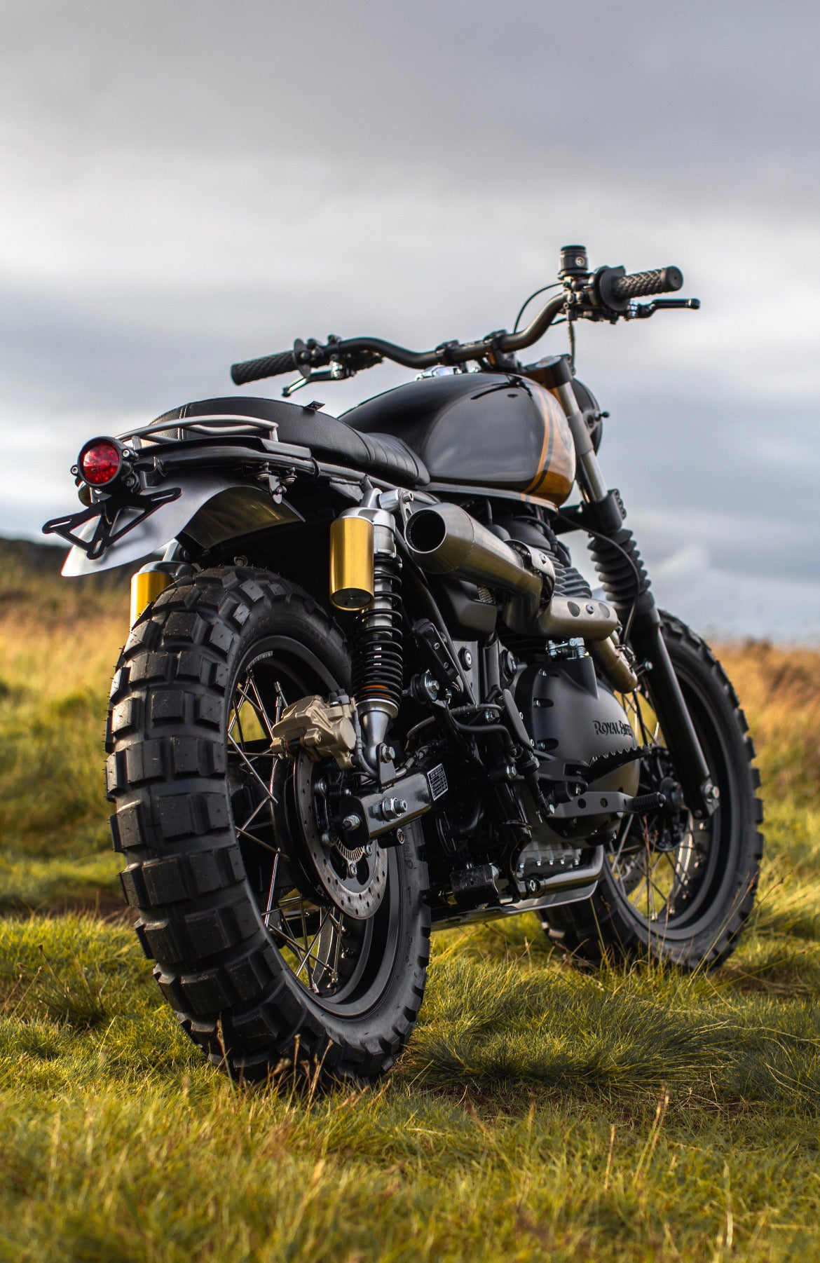 Interceptor - Gold & Black