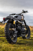 Interceptor - Gold & Black