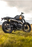 Interceptor - Gold & Black