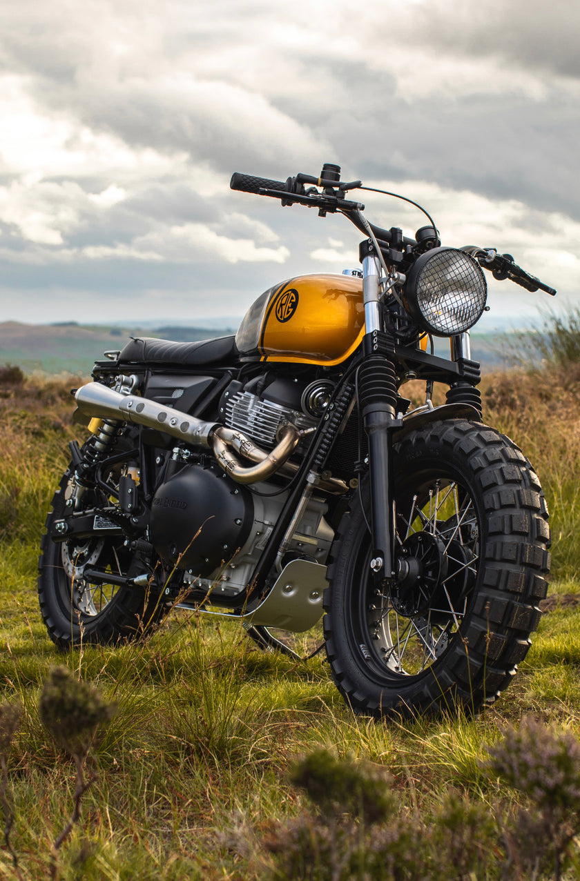 Interceptor - Gold & Black
