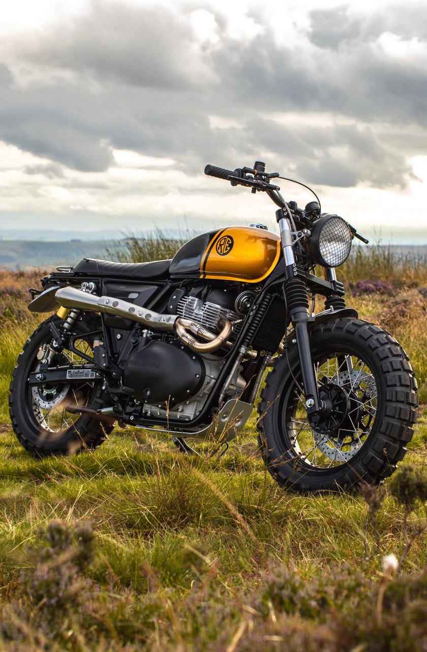 Interceptor - Gold & Black