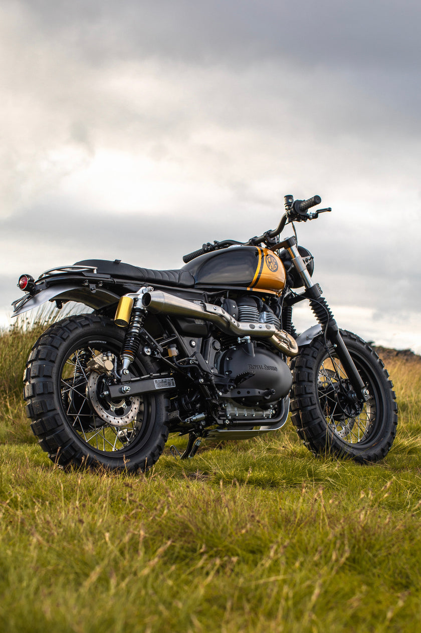 Interceptor - Gold & Black