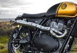 Interceptor - Gold & Black