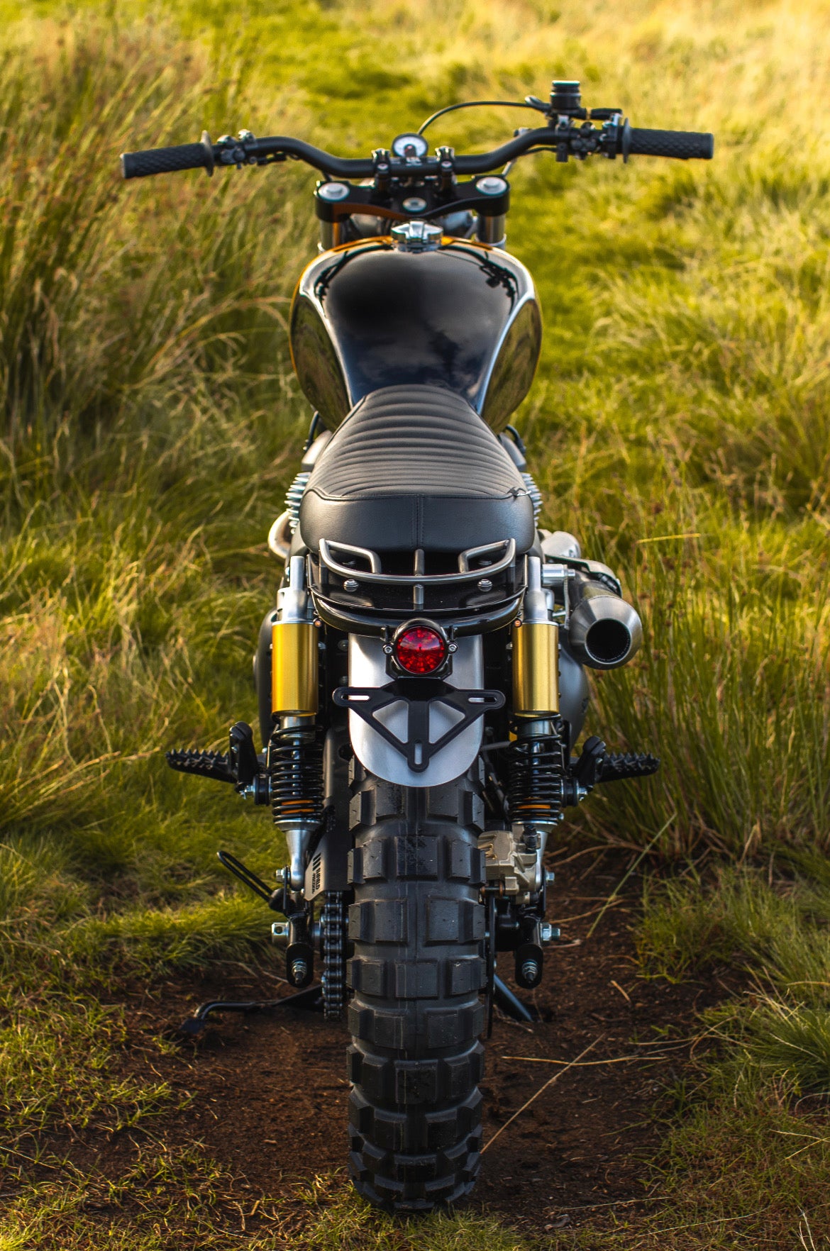 Interceptor - Gold & Black