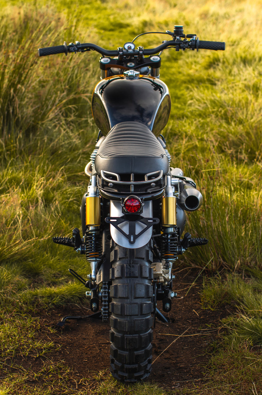 Interceptor - Gold & Black