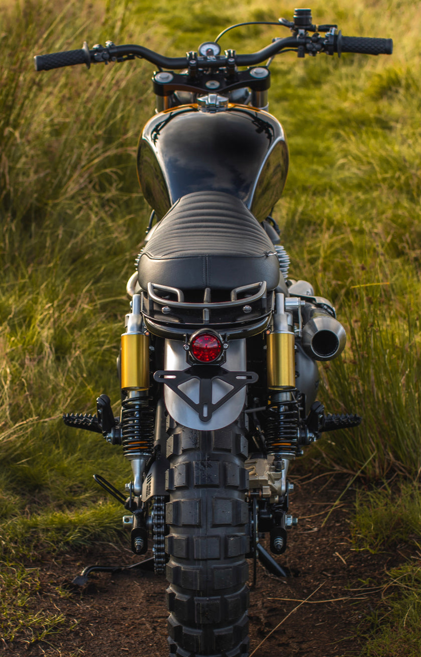 Interceptor - Gold & Black