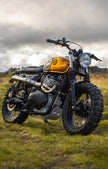 Interceptor - Gold & Black