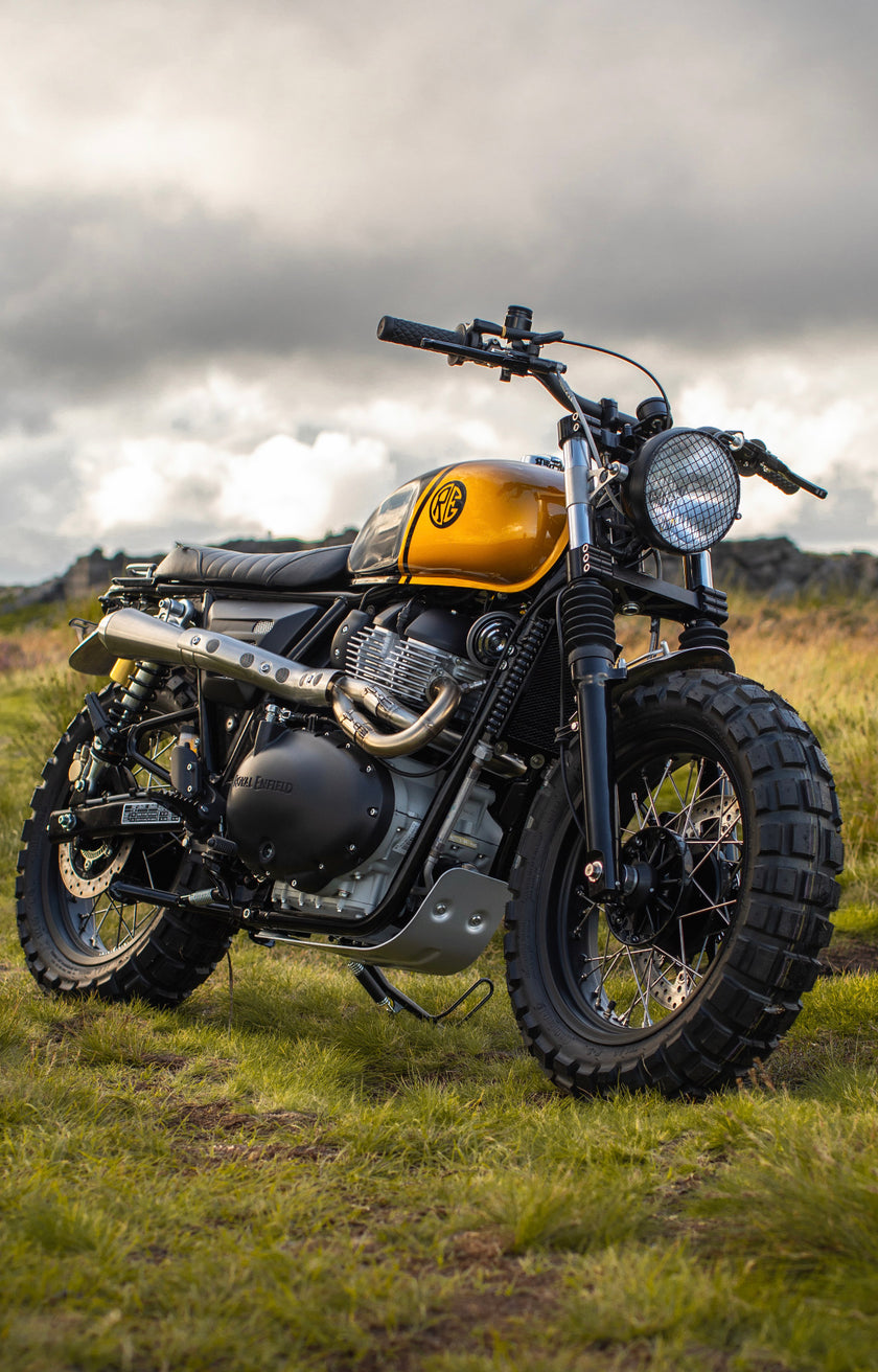 Interceptor - Gold & Black