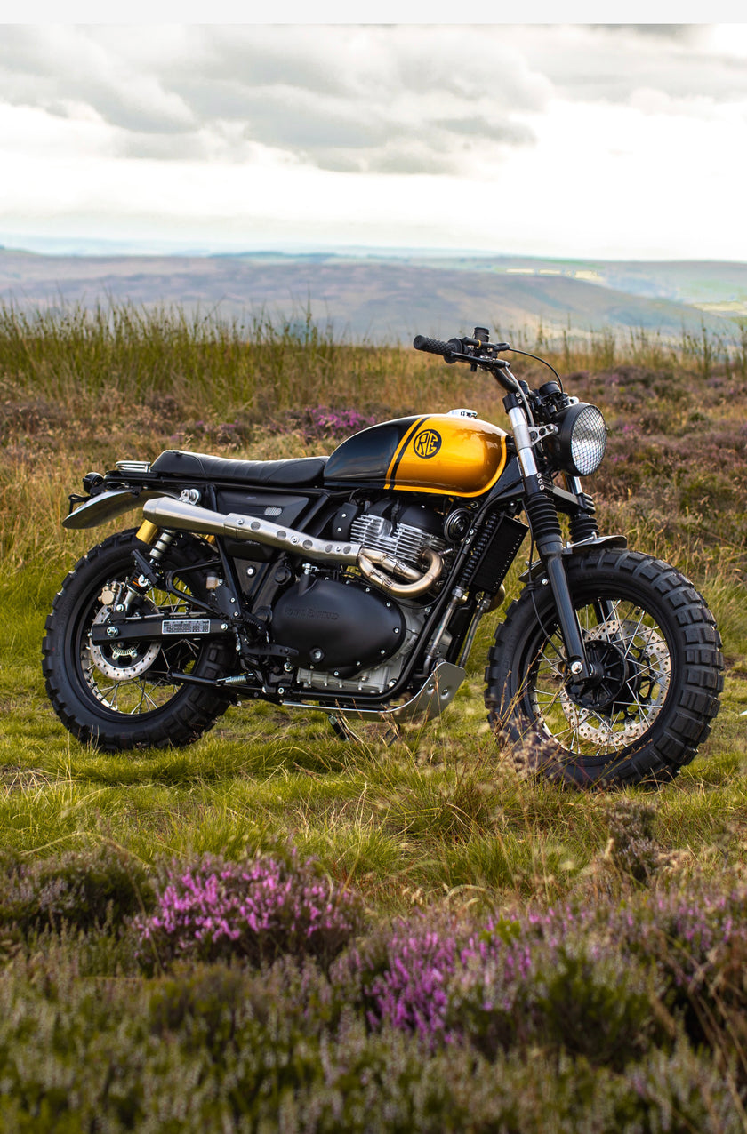 Interceptor - Gold & Black