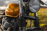 Interceptor - Gold & Black