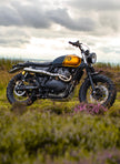 Interceptor - Gold & Black
