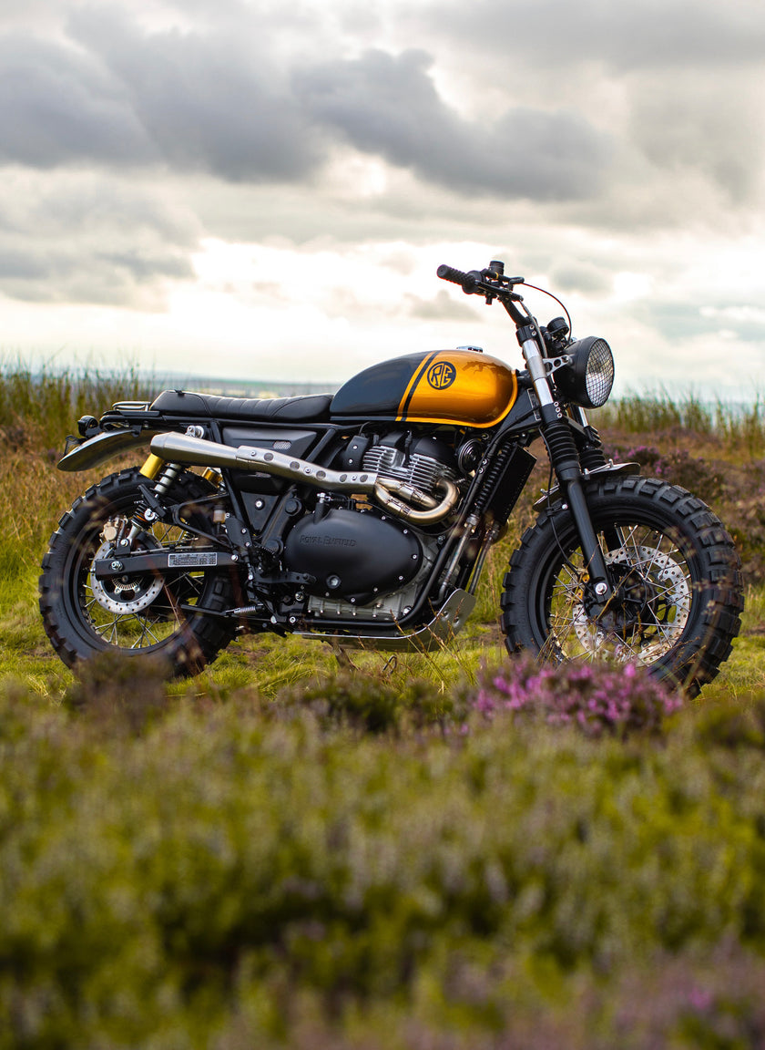 Interceptor - Gold & Black