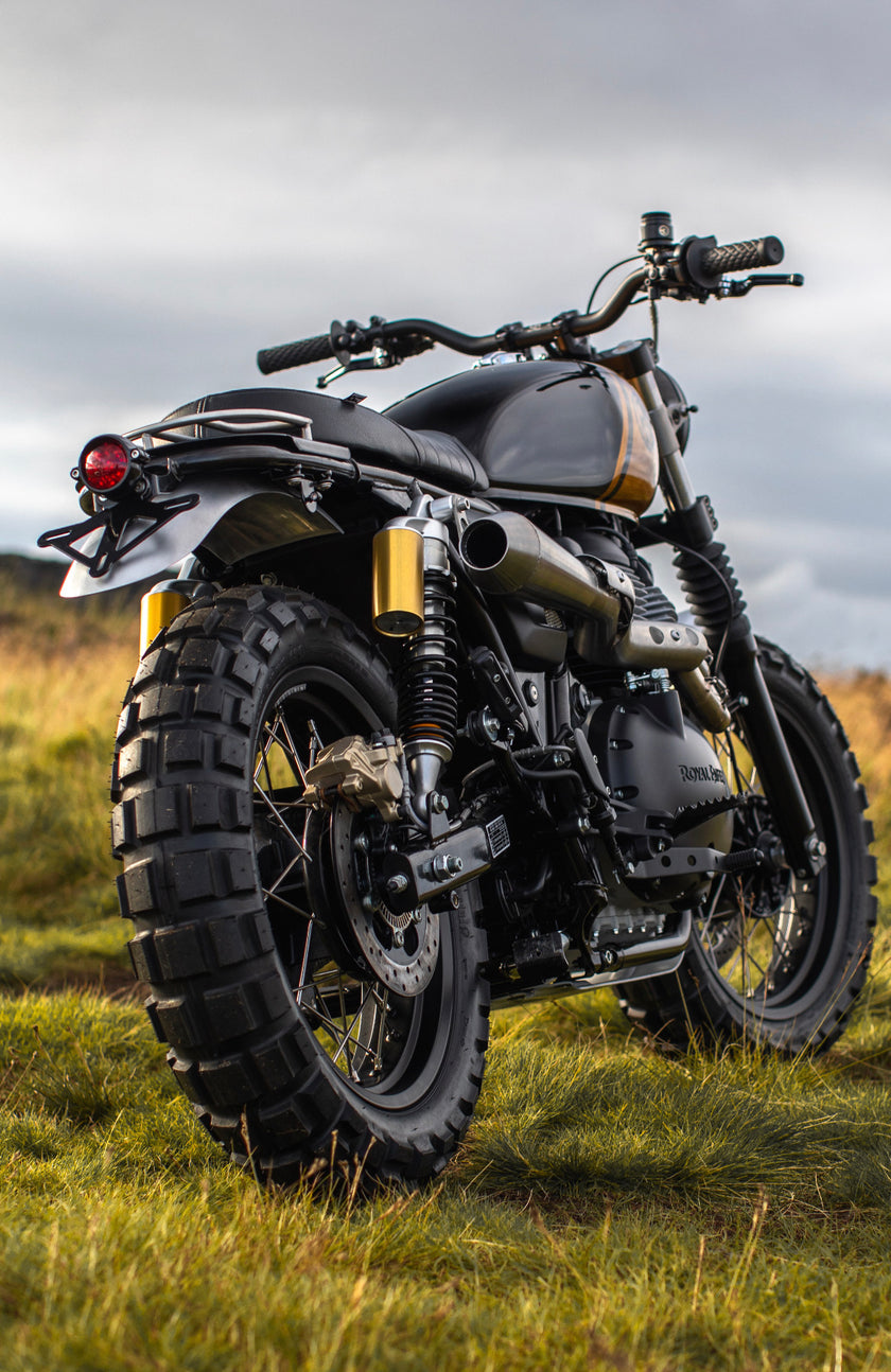Interceptor - Gold & Black