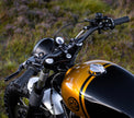 Interceptor - Gold & Black